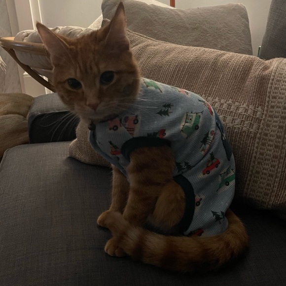 Meet your Posher, Jess - Picture 6 of 16